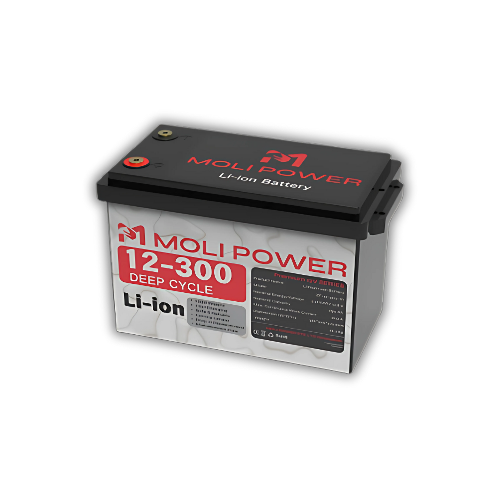 Batterie Lithium Li-ion 3,8 kWh (12V 300Ah)