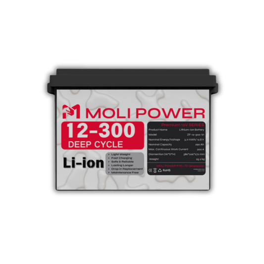 Batterie Lithium Li-ion 3,8 kWh (12V 300Ah)