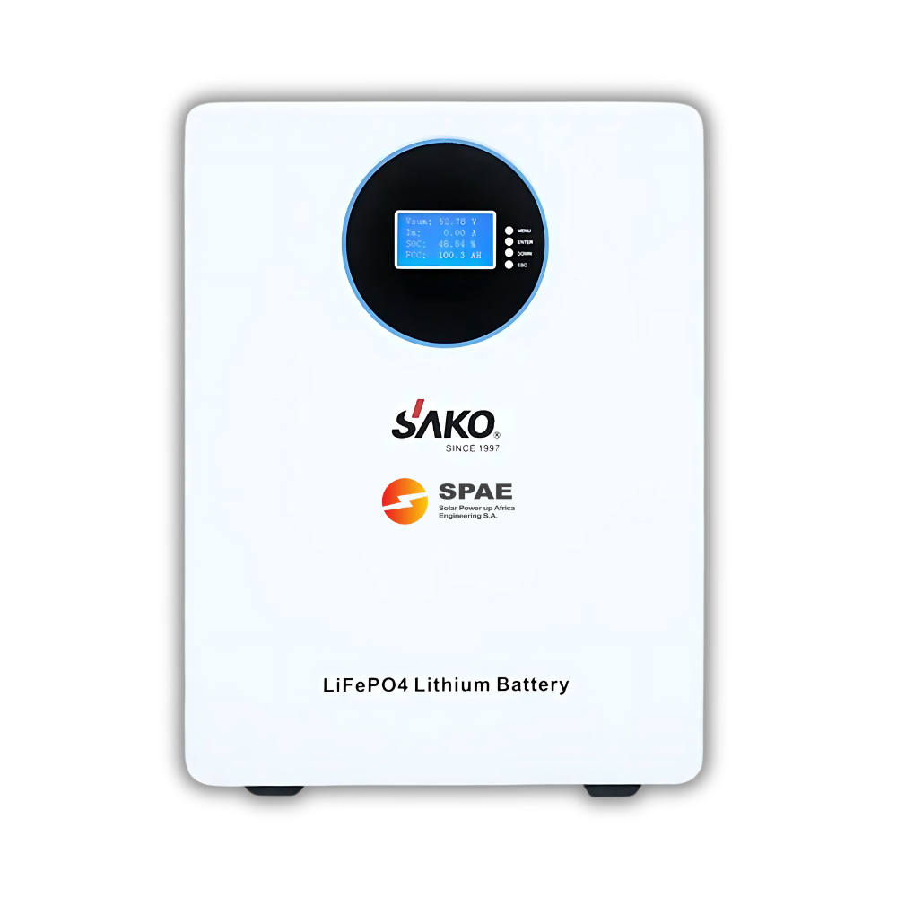 Batterie Lithium Li-Sun 2,5 kWh (100Ah/25,6V)